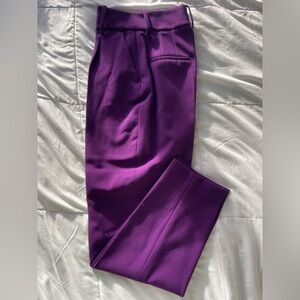 Zara Deep Purple Pants